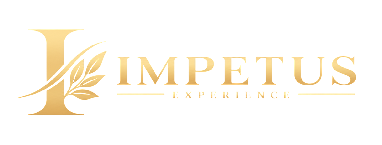 Impetus Experience